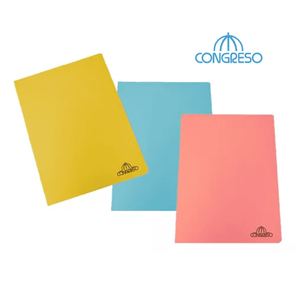 Carpeta carátula Oficio CONGRESO 100 un