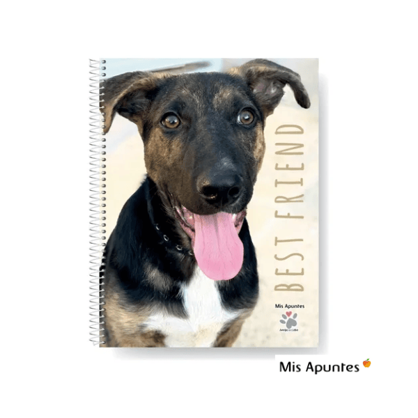 Cuaderno espiral A4 MIS APUNTES Join Us 80 hojas Cuadriculadas