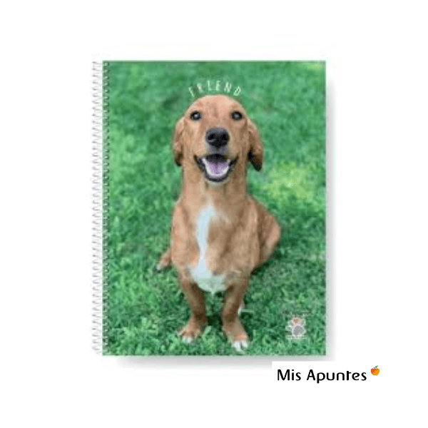 Cuaderno espiral A4 MIS APUNTES Join Us 80 hojas Rayadas